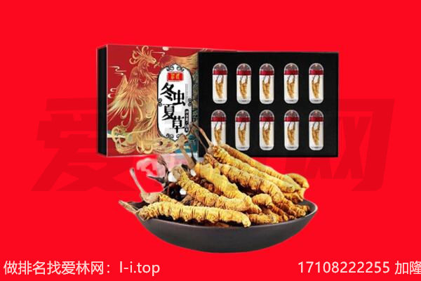 枝江市回收虫草.jpg